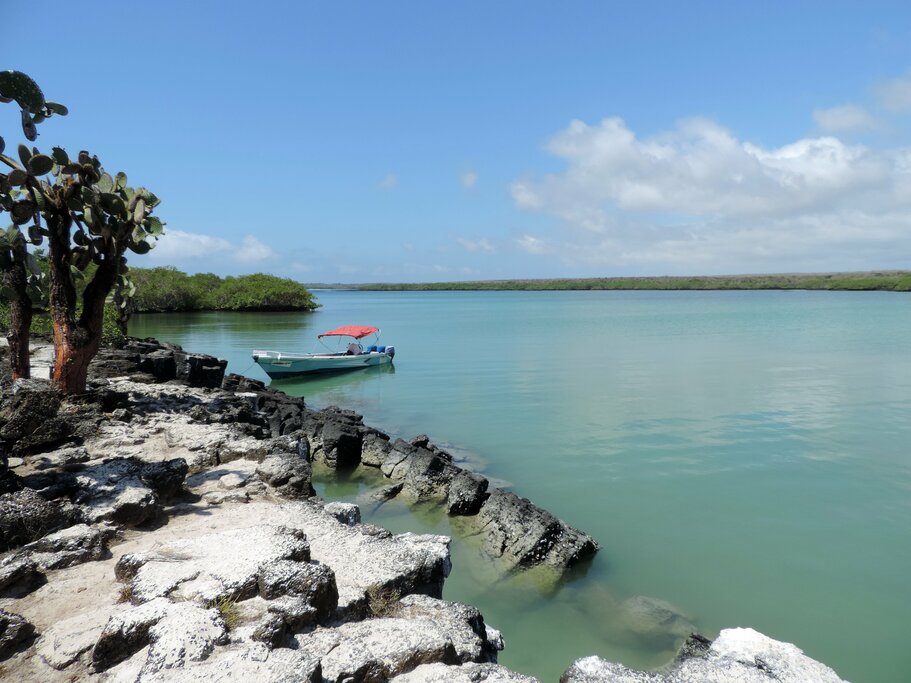 Tortuga Bay Beach
