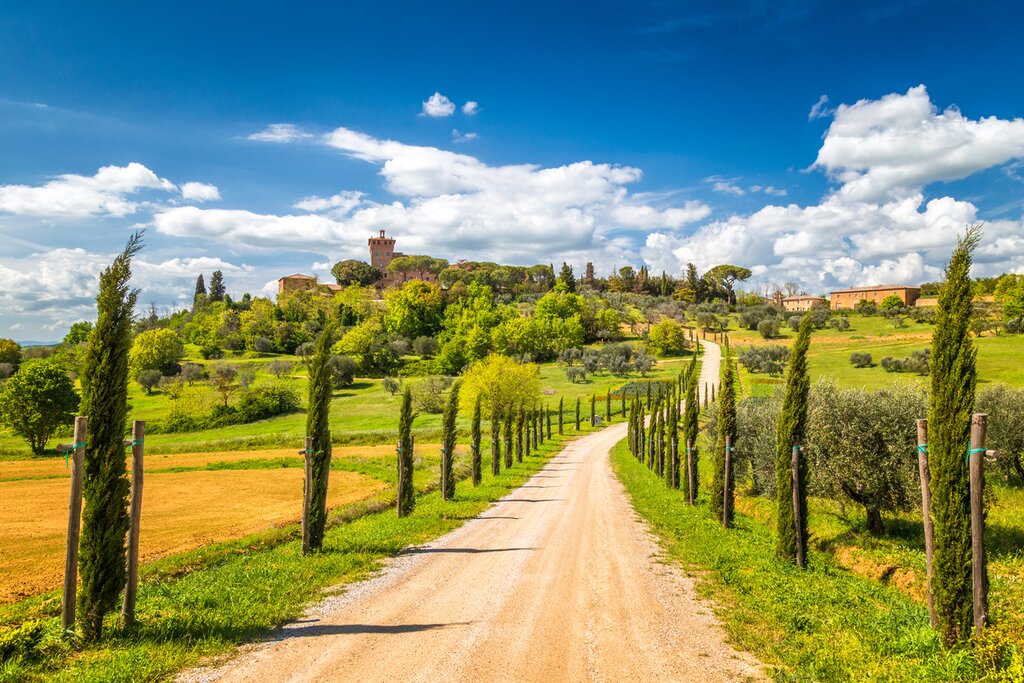 Hike along the famous "white roads" of the Val D'Orcia landscape