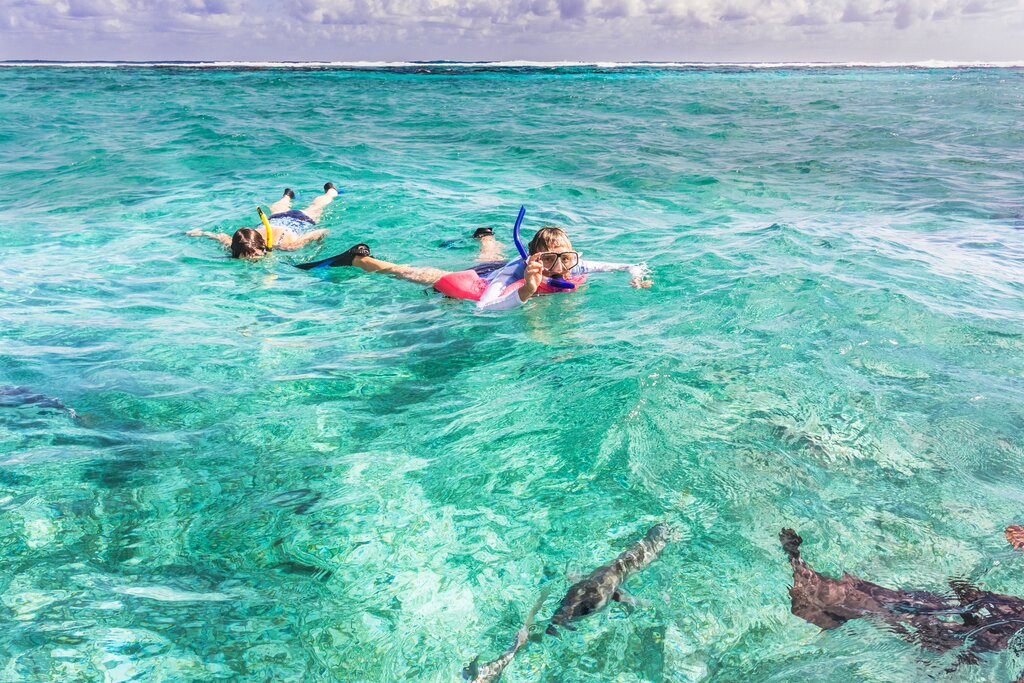 Snorkeling in the Belize Barrier Reef
