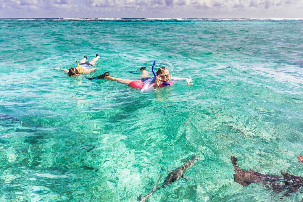 Hol Chan & Shark Ray Alley Snorkel