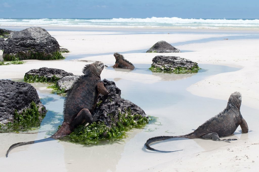 A beach on Bartolomé Island in the Galapagos