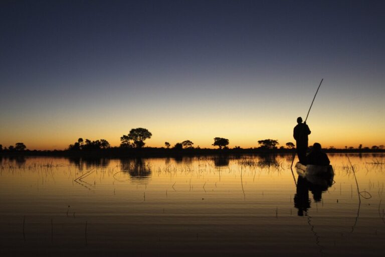 Adventures in Africa: Victoria Falls, Botswana, Johannesburg & Mauritius - 14 Days