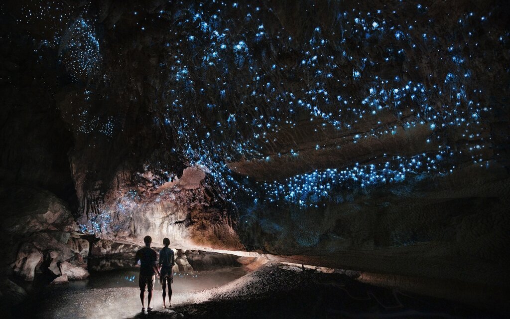 A glowworm cave in Waitomo
