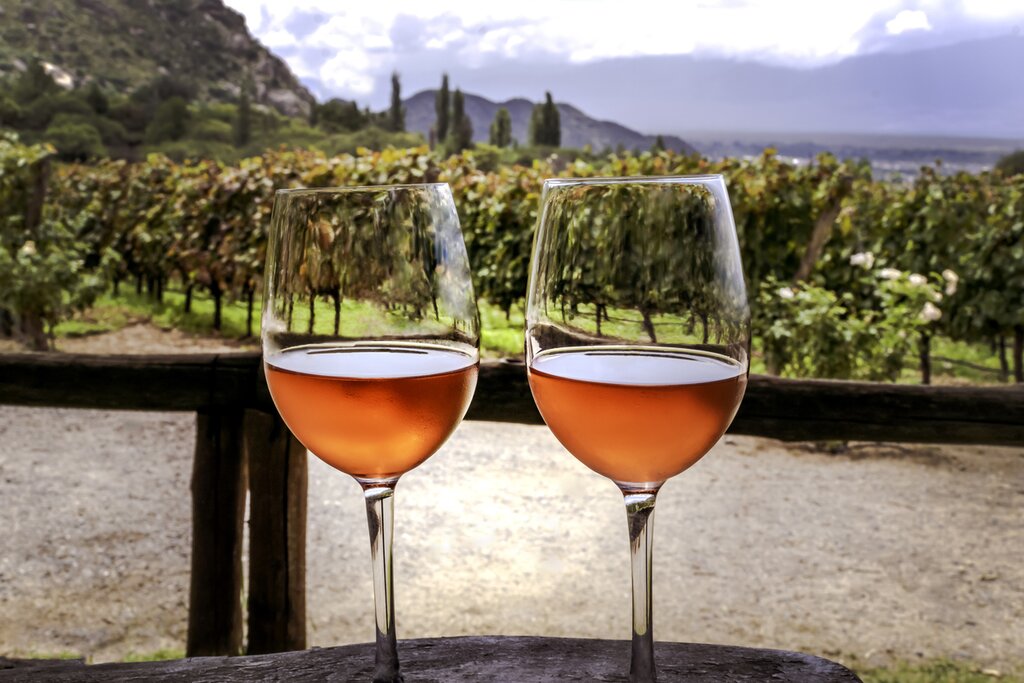 Sample the best wines of Argentina and Uruguay on this two-week tour
