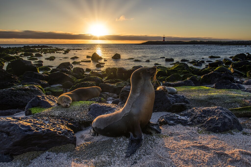 Sunset over Baltra Island