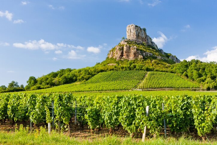 Free time in Burgundy!