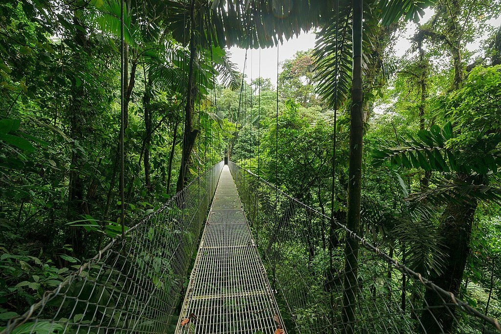 Cross the Hanging Bridge in Monteverde Cloud Forest