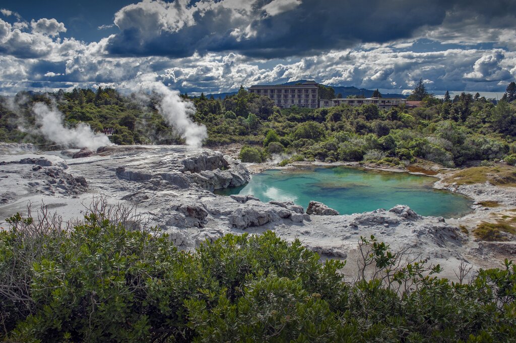 The steaming Whakarewarewa Geyser at Te Pui thermal park in geothermal valley of Rotorua, New Zealand
