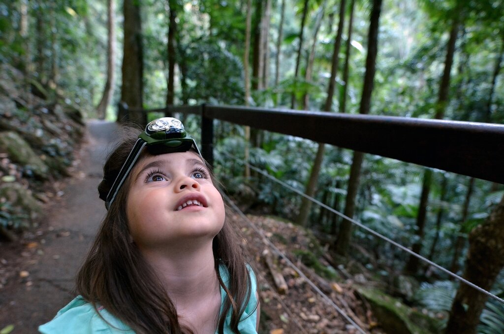 Discover the wonders of Daintree