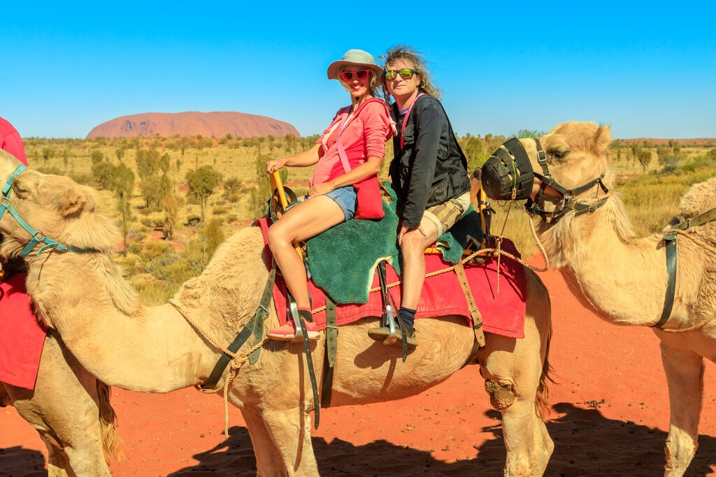 Morning Camel to Sunrise