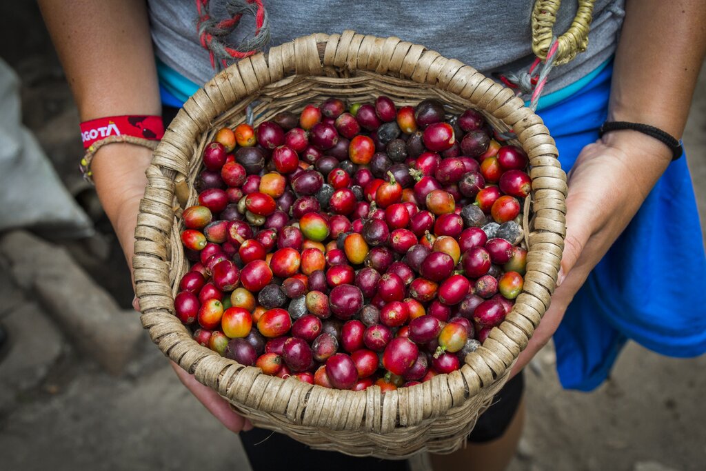 The coffee culture