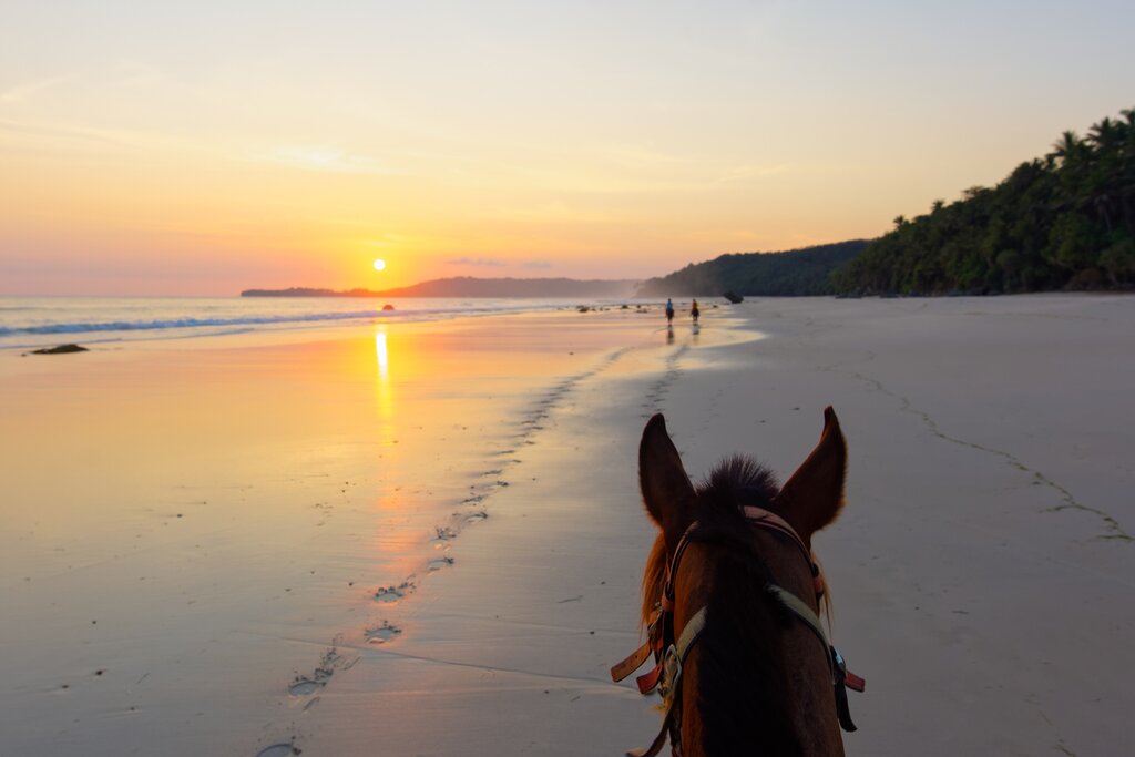 Sumba