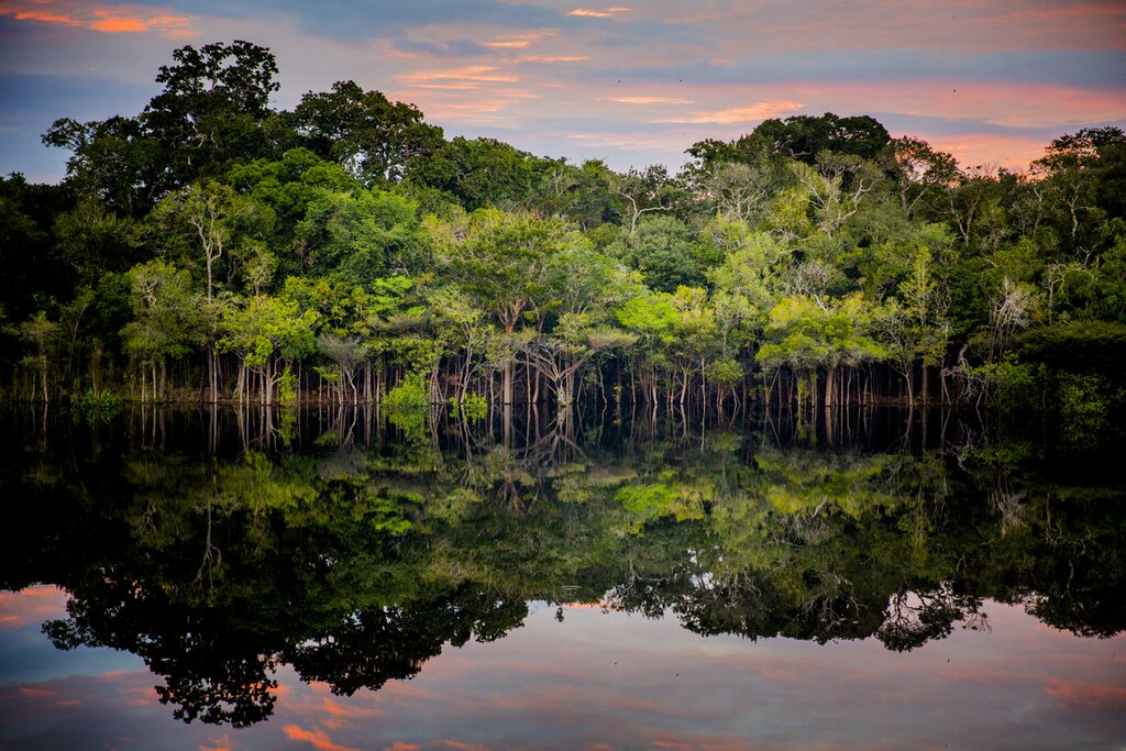 Rio Negro