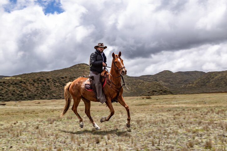 Horseback Riding Day at Cotopaxi National Park