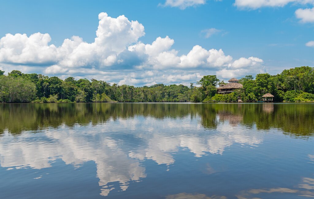Transfer from Manaus to The Amazon Turtle Lodge