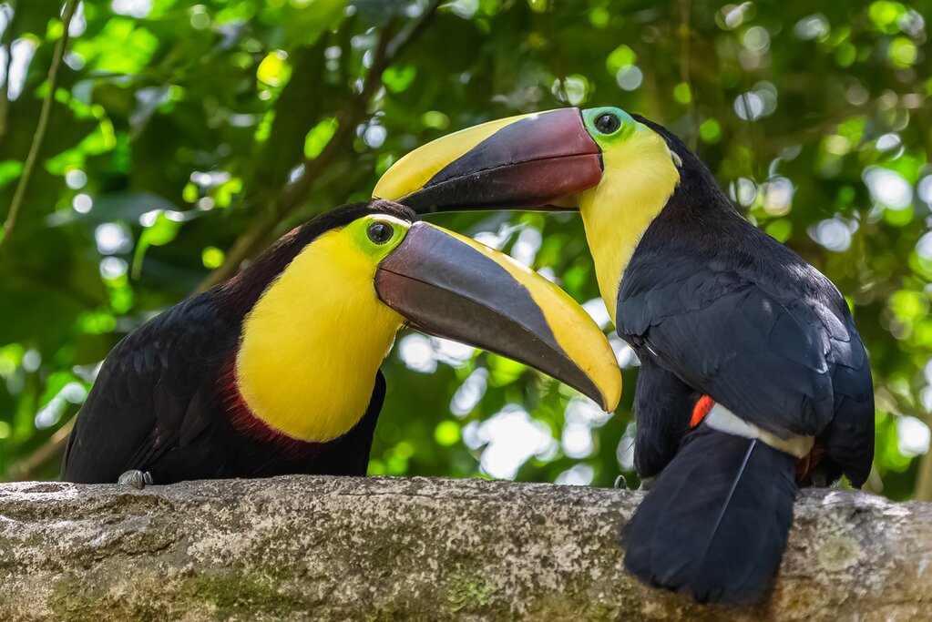Cahuita National Park