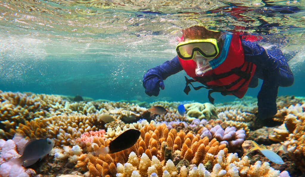 Great Barrier Reef snorkeling