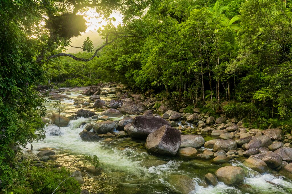 Spend two nights at an eco-retreat in the Daintree Rainforest before heading to Melbourne