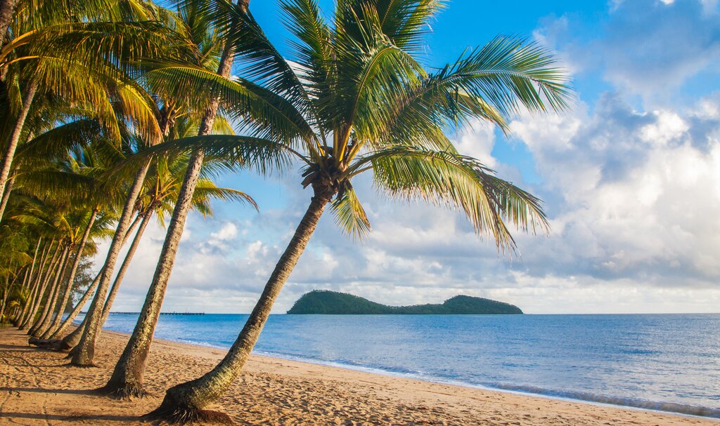 Spend your first afternoon lazing beneath the palms at Palm Cove