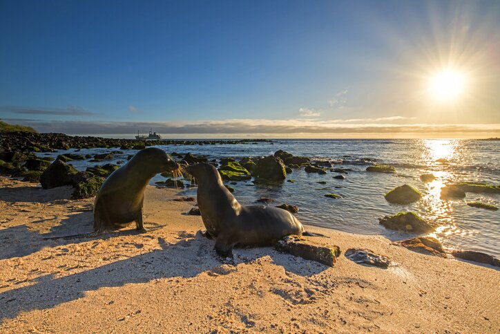 Bid the Galapagos farewell