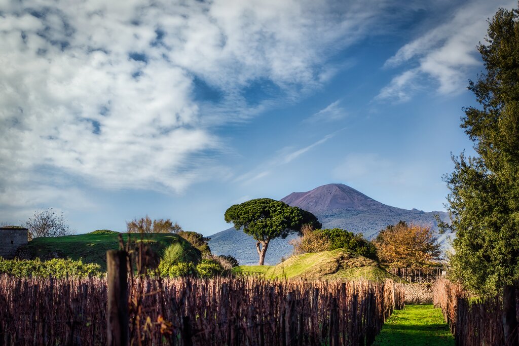 Vineyards near the slopes of Mount Vesuvius