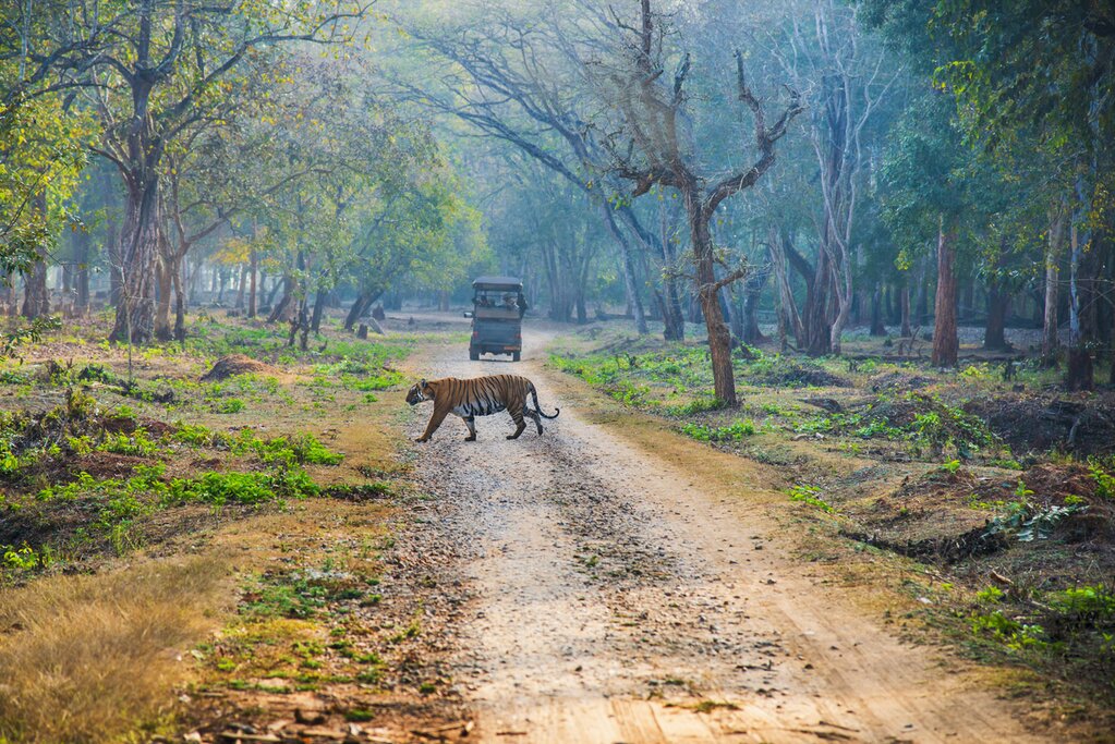 Mysore - Kabini 