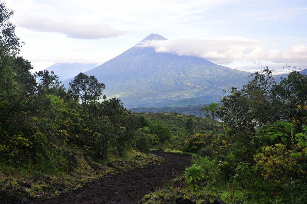 Pacaya Volcano