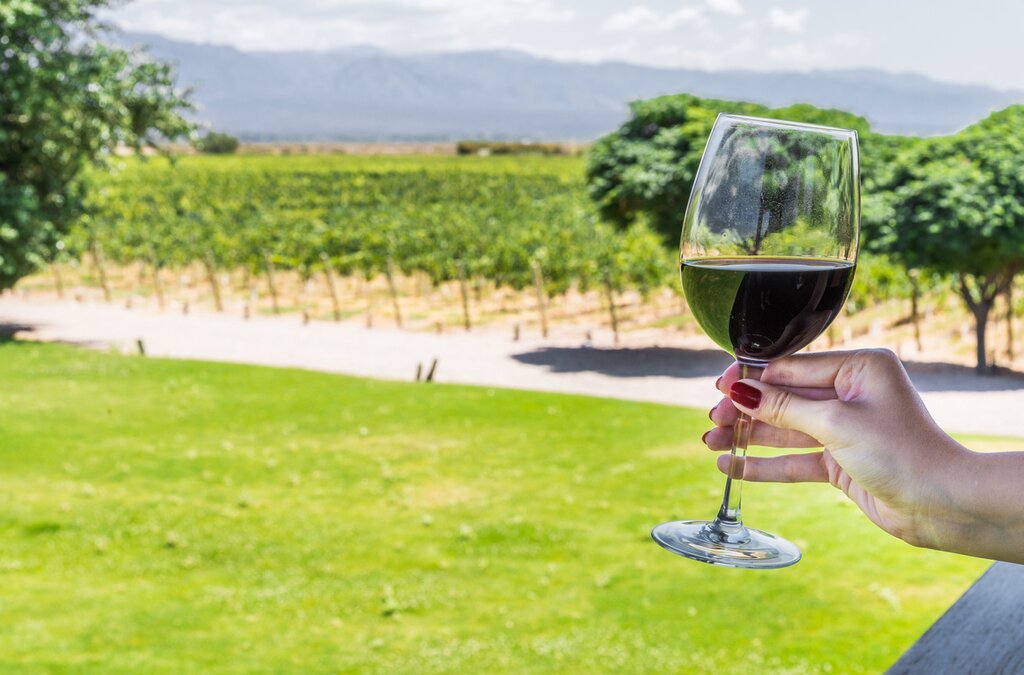 Full day tour to Vineyards: Wine and Olive