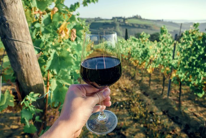 Savor some of Italy's best wine tasting experiences in Chianti