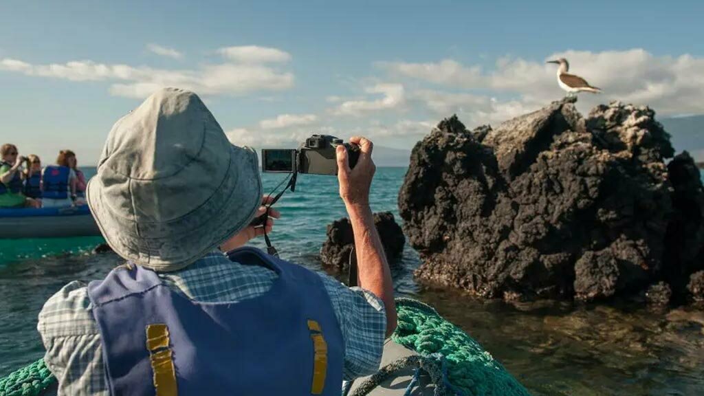 Bird photography opportunities abound in the Galápagos