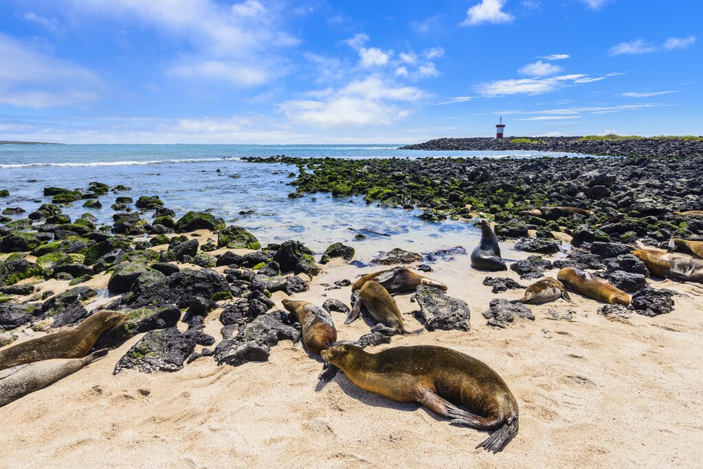 Settle into island life on the beaches of Isla San Cristóbal
