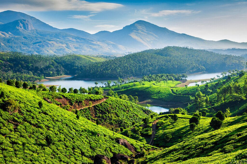 Spend two nights in Munnar, surrounded by plantations