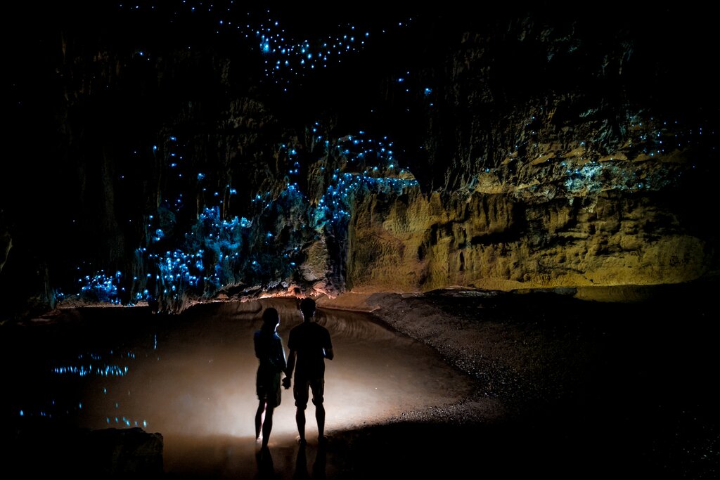 Stop to see the glowworm caves as you make your way from Auckland to Rotorua