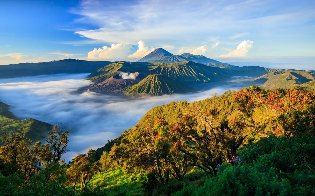 mount bromo