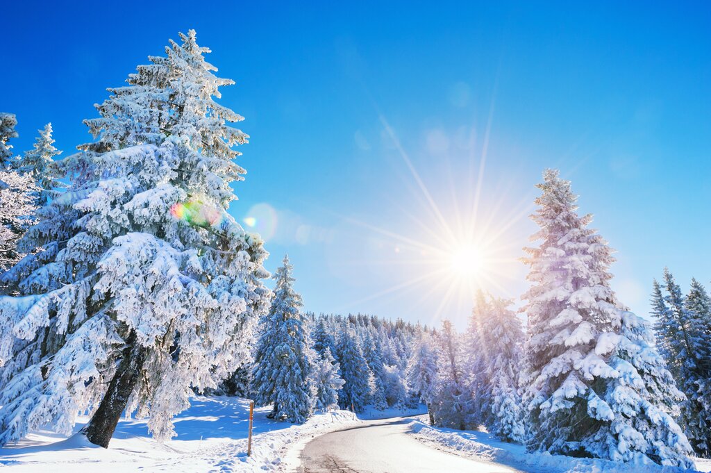 Explore the Alpine highlights of France and Switzerland on this winter tour