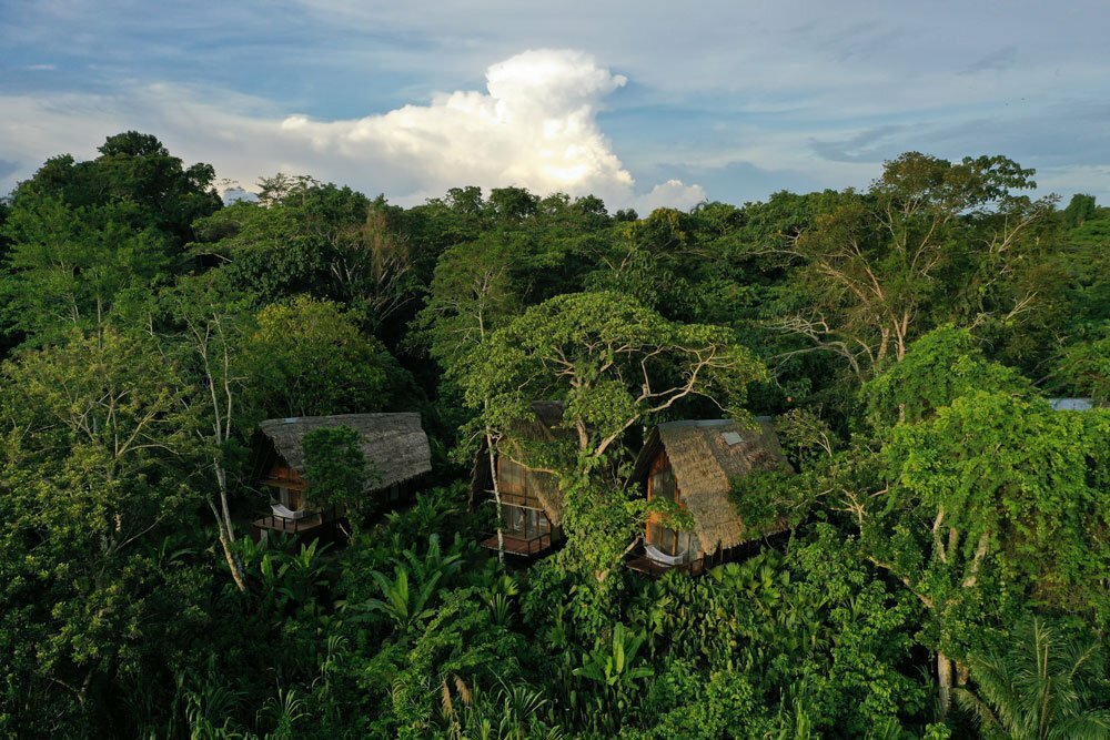 Explore the Amazon jungle while staying in a romantic bungalow (photo courtesy of Calonoa Lodge))