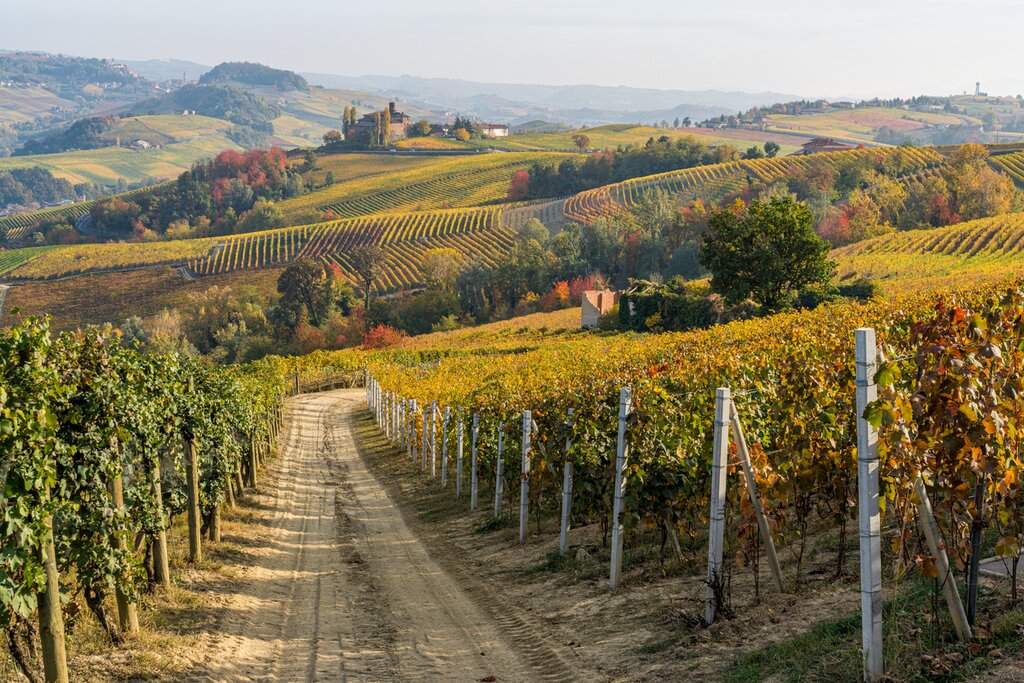 Langhe
