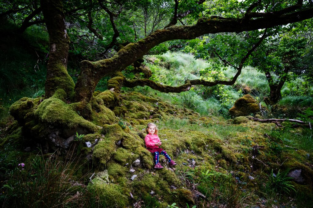 Fairy House