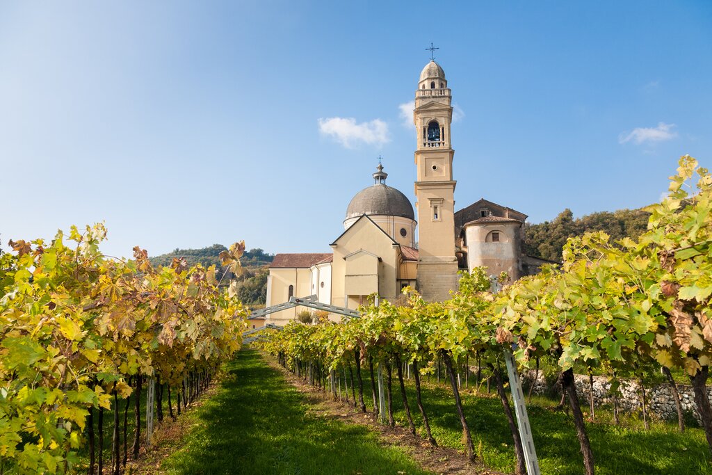 Parish Church of Marano di Valpolicella amid the vines