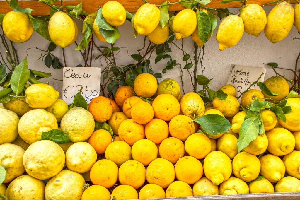 Tour Amalfi's Lemon Groves