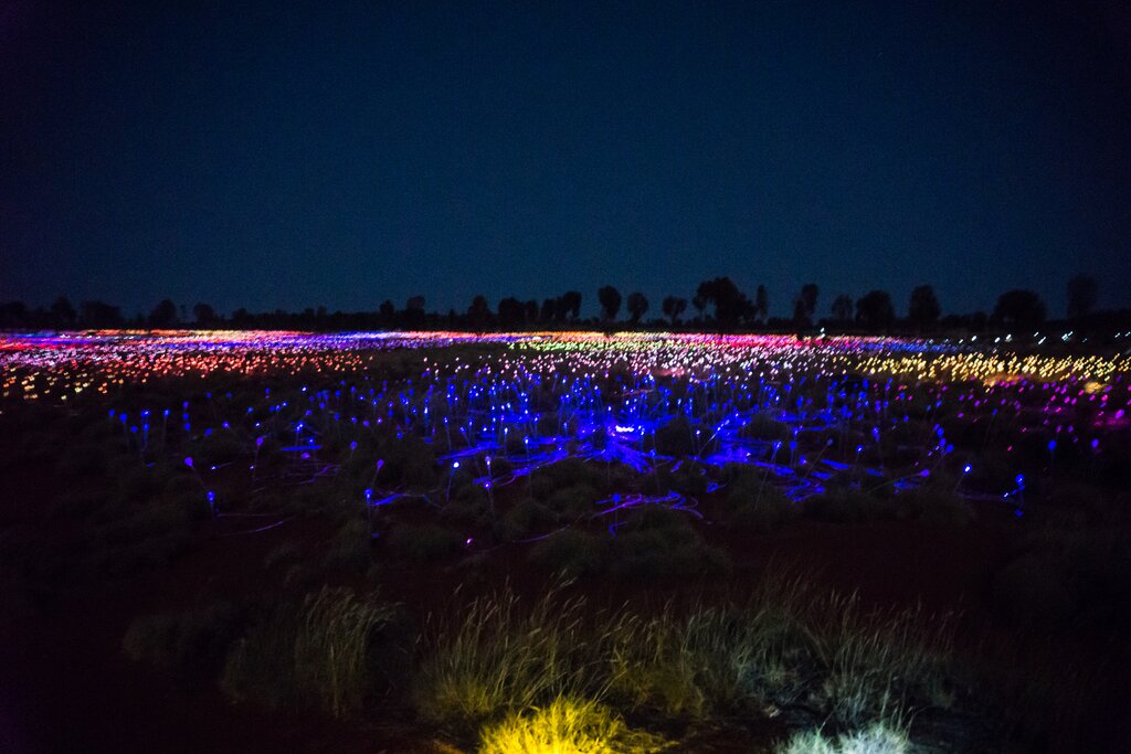 Field of Light Uluru