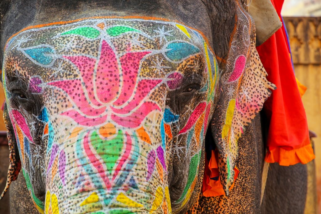 Painted elephant