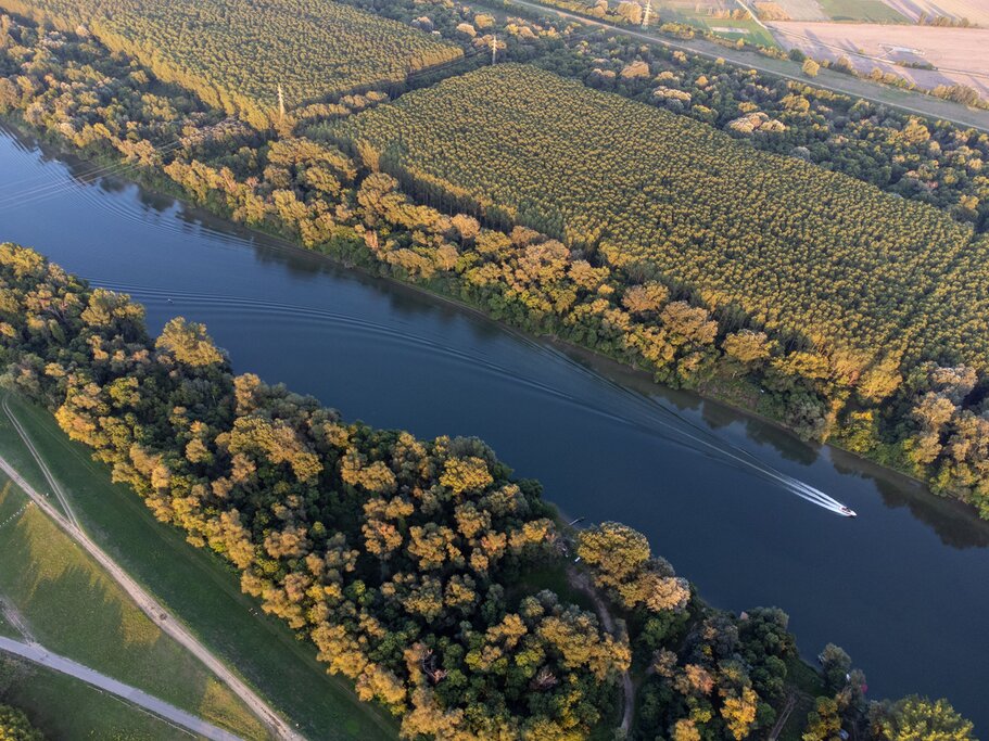 The Paraná Delta in Tigre