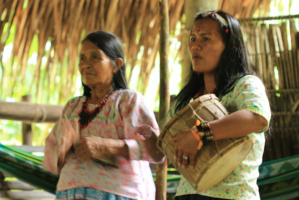 Indigenous Experience & Discover the Jungle at Night