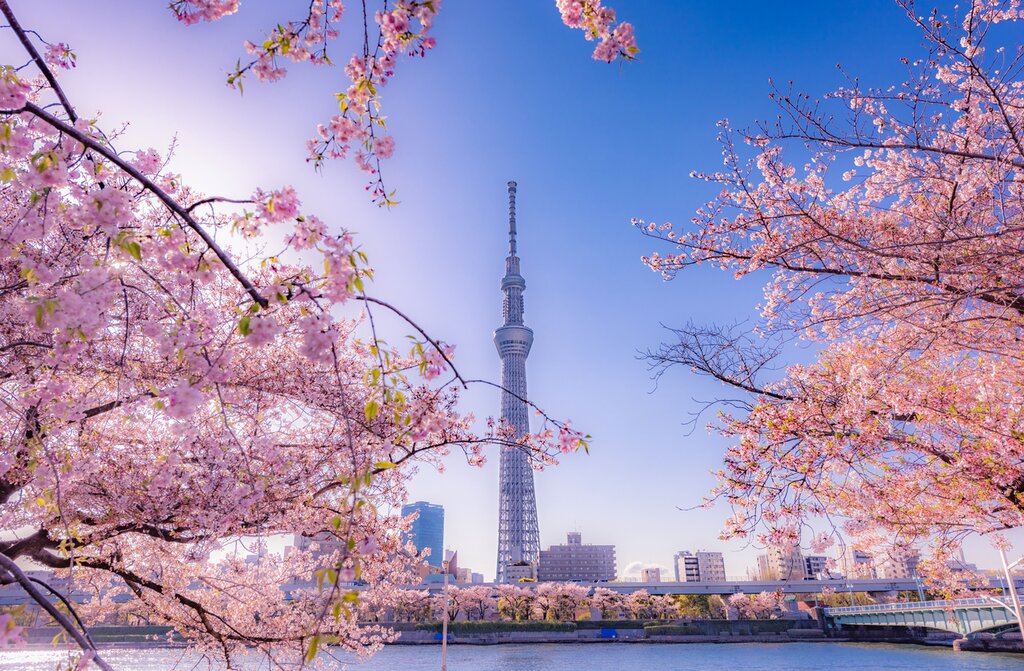 Tokyo Skytree