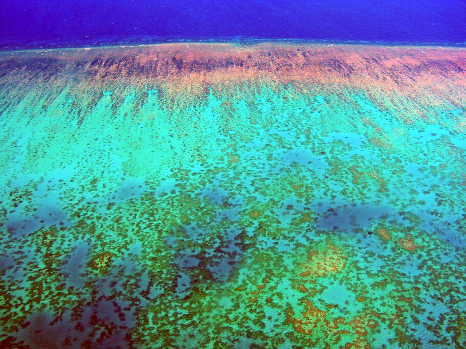 Aerial view of the Great Barrier Reef