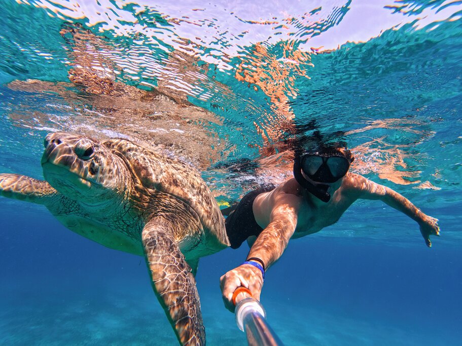 Snorkeling at Mahmya Island from Hurghada