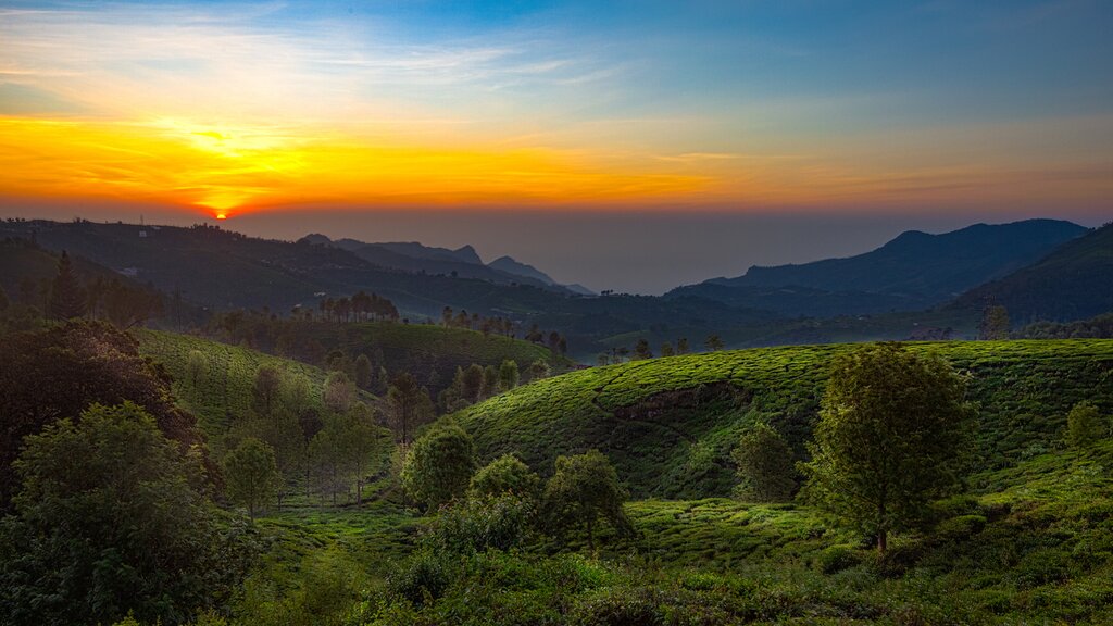 Ooty discovery