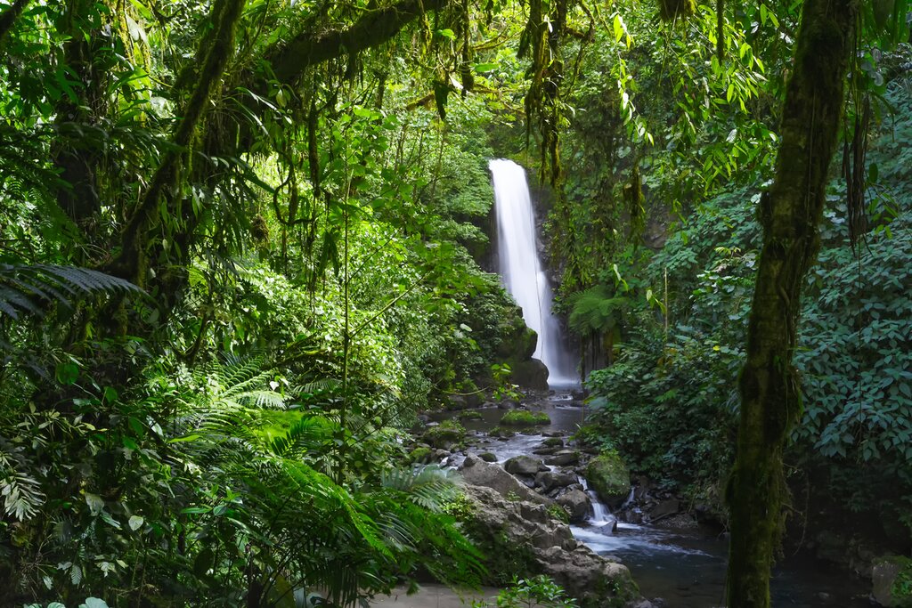 La Paz Waterfall
