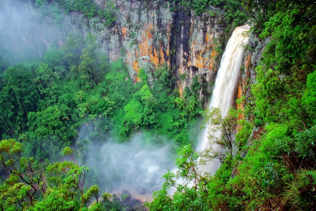 UNESCO Springbrook Rainforest & Waterfall Tour - Full Day Private Tour